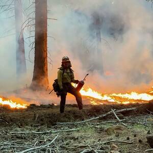 Firefighter in yellow protective gear and helmet, carrying a drip torch, stands before a controlled burn amid smoky forest. Orange flames and a line of fire stretch across the foreground.